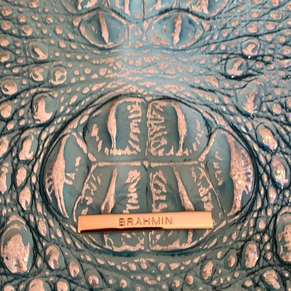 Brahmin Ellen- ArcticBlue Melbourne - Picture 8 of 17
